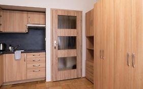 Studio Apartment In Brno-Center